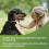 Beaphar Beaphar VETOpure Plant-Based Protection Flea Collar for Dogs 5