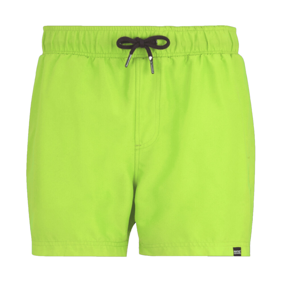 Regatta (L, Sharp Green/Navy) Mens Mawson Ii Swim Shorts