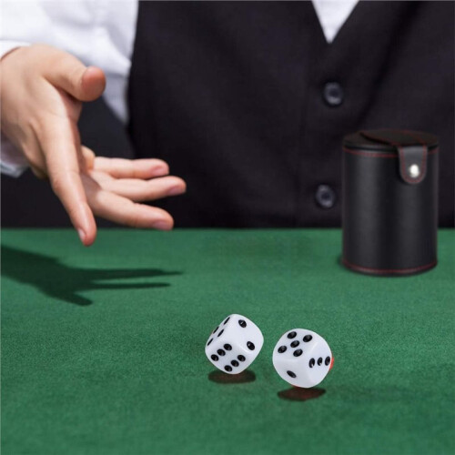 Leather Dice Cup with Lid & Storage Compartment, Includes 5 Dice Quiet  Lined Interior, for Yahtzees Bar Party Etc
