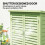 Outsunny Outsunny Garden Storage Shed Solid Wood Garage Organisation w/ Doors, Green 6