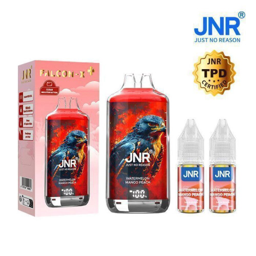 JNR Falcon-X 28K - E-cigarette Rechargeable + 2 x 10ml E-liquide Pastèque, Pêche, Mangue 20mg 1