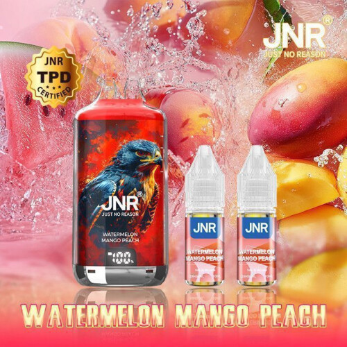 JNR Falcon-X 28K - E-cigarette Rechargeable + 2 x 10ml E-liquide Pastèque, Pêche, Mangue 20mg 2