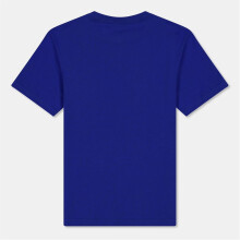 (7 Years, Sapphire) Ralph Lauren Childrens/Kids Polo Embroidered Logo T-Shirt