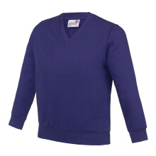 (5-6 Years, Purple) AWDis Academy Childrens/Kids Junior V Neck School Jumper/Sweatshirt (Pack of 2)