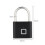 (Black)Intelligent Fingerprint Lock Outdoor Waterproof Antitheft Intelligent Electronic Locks 1