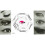 In 1 6 Eyeliner Stencil Eye Shadow Guide Quick Makeup Beauty Convenient Tool 1