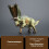 (Attack Pentaceratops)Dinosaur Educational Figurines Pvc Static Models For Kids Learning Interactive 1