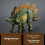 (Solid Stegosaurus)Dinosaur Educational Figurines Pvc Static Models For Kids Learning Interactive 1