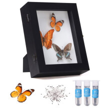 Insect Display Case Bug Display Case Shadow Box Wall Mount, Anti Fade UV Protection Acrylic Top, Eva Foam Pinning Board