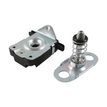 1 Satz Haubenschloss-Zylinder 51238203859 51238229807 Passend für  X5 E53 1999-2006 Modelle