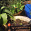 (5m)Water Irrigation Kit Set Micro Drip Watering System Automatic Plant Tool Garden 4