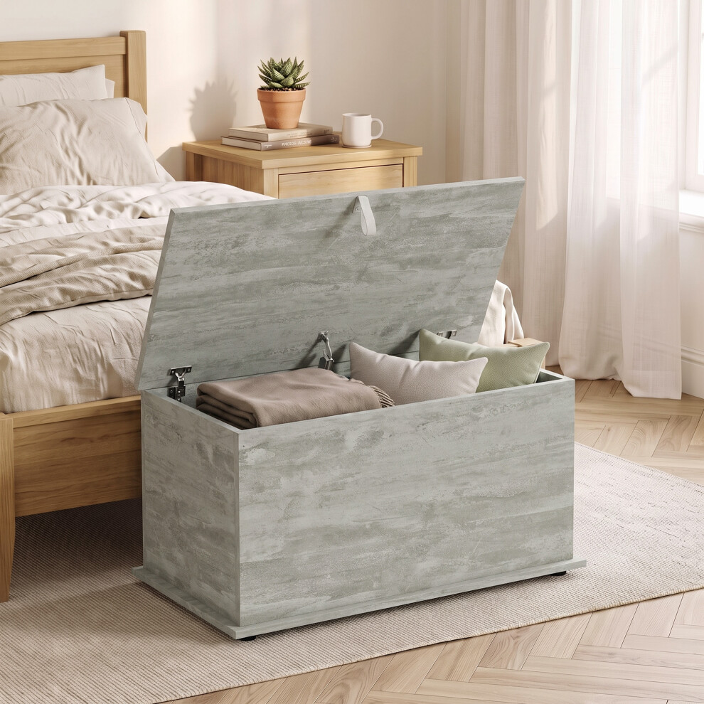 Homcom (Grey) Storage Chest With Safety Hinged Lid, 102L Storage Box