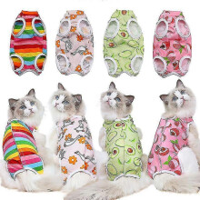 (Rainbow, S) Combinaison anti-léchage pour la récupération post-stérilisation des petits chats et chiens