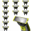 (360 Blade, 12-Pack) Compatible with Philips OneBlade 1