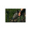 Speero SPEERO Bivvy Mat DPM 1