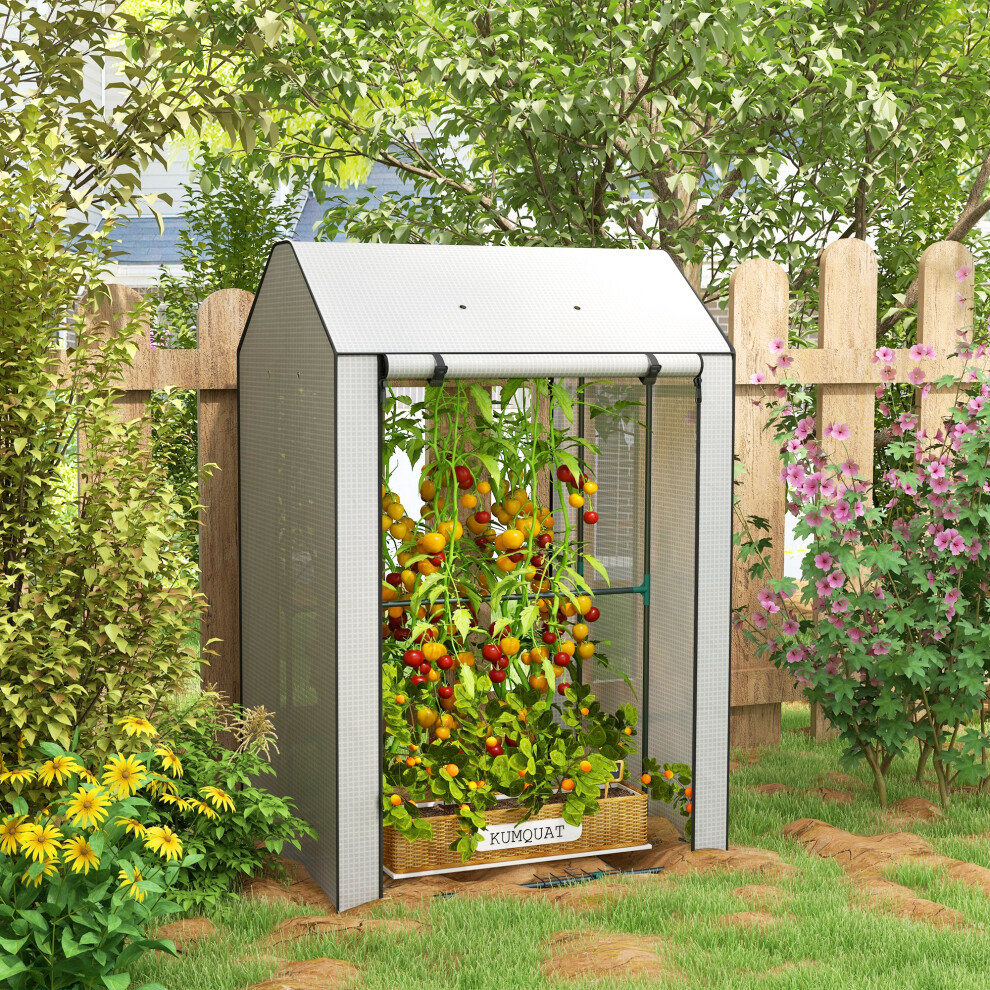 Outsunny White Mini Greenhouse With Shelves And Roll Up Door, 100X80x150cm, - Image 2