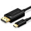 Câble UGREEN USB-C vers DisplayPort, 1,5 m - Noir 1