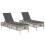 VidaXL vidaXL Sonnenliegen mit Auflagen 2 Stk. Hellgrau Poly Rattan 2