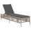 VidaXL vidaXL Sonnenliegen mit Auflagen 2 Stk. Hellgrau Poly Rattan 4