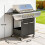 Outsunny Barbacoa de Ga Negro 129 x 55 x 117 cm 8