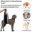 (L) Adjustable Pet Dog Lifting Harness for Back Legs - Mobility Support Sling Portable YuJia 4
