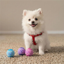 3 Pack Dog Tennis Balls Durable Chew Toys for Indoor Outdoor Play