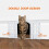 French Double Door ABS Cat Dog Pet Hole Free Entry Exit 3