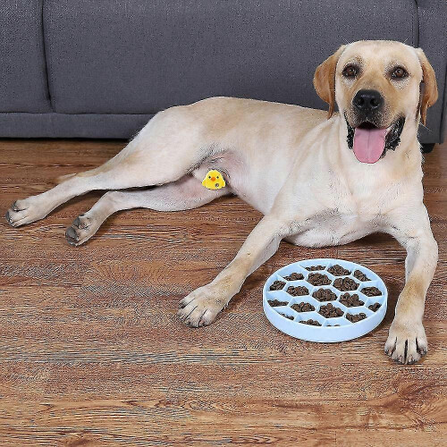 Gamelle interactive anti-glouton pour chiens mangeurs rapides 2