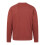 (XXL, Rust) Mountain Warehouse Mens Hemsby Sweatshirt 2