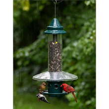 Protetor de Neve Weather Guard para Alimentador de Pássaros Squirrel Buster (ALIMENTADOR NÃO INCLUÍDO)