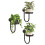 1set Wall-Mounted Flower Pot Stand, Made of Thickened, High-Strength, Rust-Resistant Material, Saves Space 3pack 2
