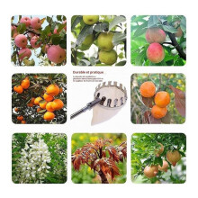 Fruitplukker met Telescopische Steel 4m, Fruitplukker, Kersenplukker met Tas, Roestvrijstalen Fruitoogstgereedschap