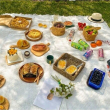 70"X 70" Picnic Blanket Extra Large,Layer Outdoor Blanket for 5 to 7 Adults,Camping Grass Lawn Park Accessories