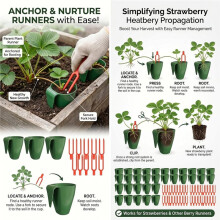 20Pcs Propagation Cups, Strawberry Propagation Cups with 50 Vine Press Forks, Plastic Planter for Rooting