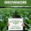 Vitax Vitax Liquid Growmore General Purpose Plant Feed 1L 6