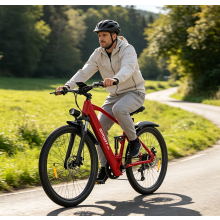 Electric Bike for Adults, 26'' 250W Motor Ebike, 48V 25km/h E Mountain Bike UK