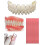 DIY Denture Repair Kit for Missing Teeth Simple Convenient 1