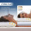 Ultra-thin Pillow for Abdominal Sleepers 2