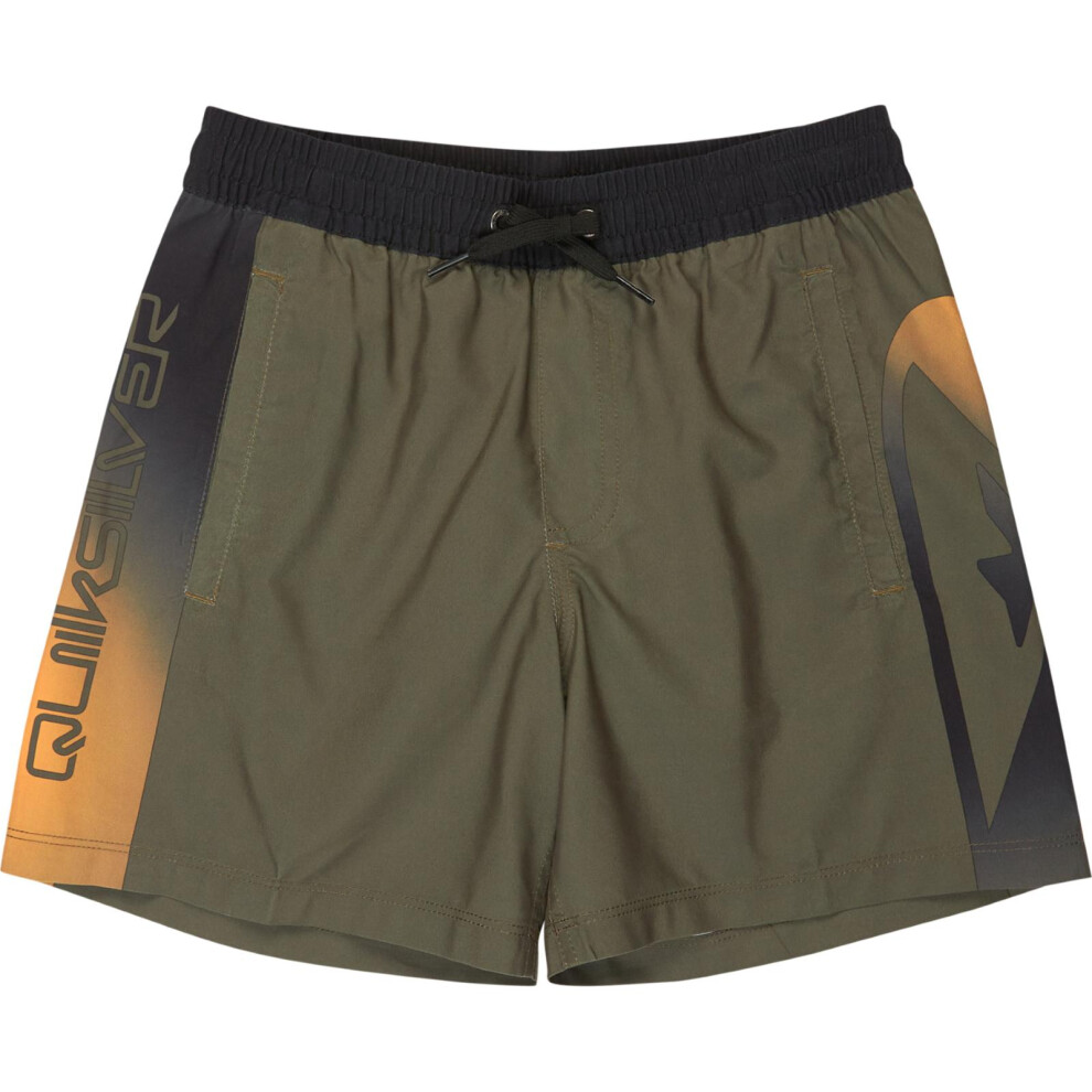 Photos - Swimwear Quiksilver   Kids Everyday Holmes Volley 16" Swim Shorts (M, Grape Leaf Holmes)