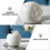 1pc Fruit Designed Ornament Vivid Fruit Sculpture Delicate Desktop Adornment 3