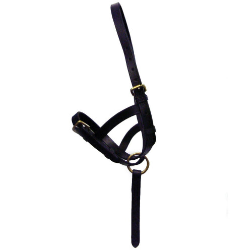 (Medium, Brown) Hy Leather Foal Slip