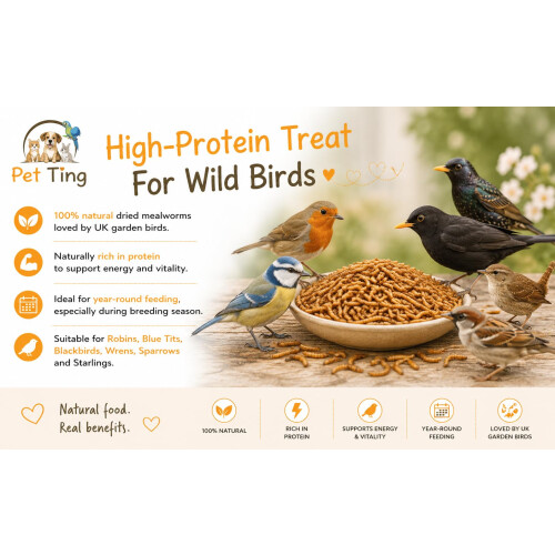 Premium Dried Mealworms, 2.5 Litre 1