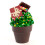 Dobla Dark Chocolate Large Flowerpot - 28 Pieces 4