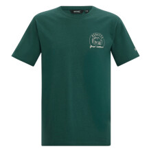 (S, Mediterranean Green) Regatta Mens Cline IX Sunrise T-Shirt