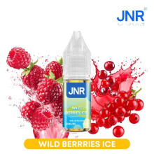 JNR E-liquide Wild Berries Ice 2 x 10ml - Baies Sauvages Glacées - 20mg Sels de Nicotine - PG/VG 50/50