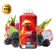 JNR - Kit Black Dragon Ice 28000 puffs 2X10ml - Falcon-X +