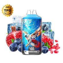 JNR - Kit Blueberry Pomegranate Ice 28000 puffs 2X10ml - Falcon-X