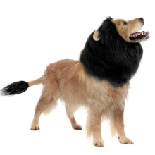 Lion Mane Dog Costume for Medium Large Dogs Realistic Wig Halloween,M