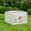VidaXL vidaXL 4 Panel Dog Playpen White 63 x 63 x 40 cm Plastic 4