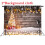 (5feet)Christmas Tree Wood Photography Background Studio Photo Prop Backdrop Decoration 1